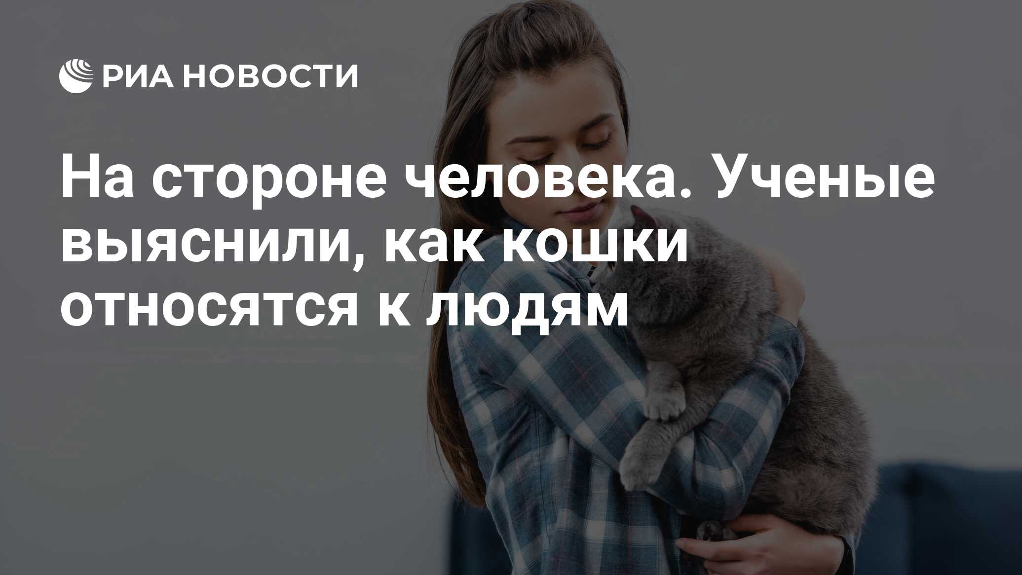 О чем думают кошки: мысли о своих хозяевах