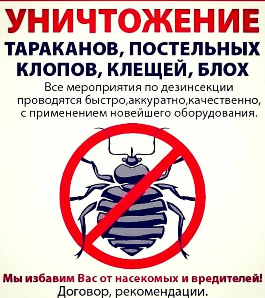Как избавиться от чешуйниц