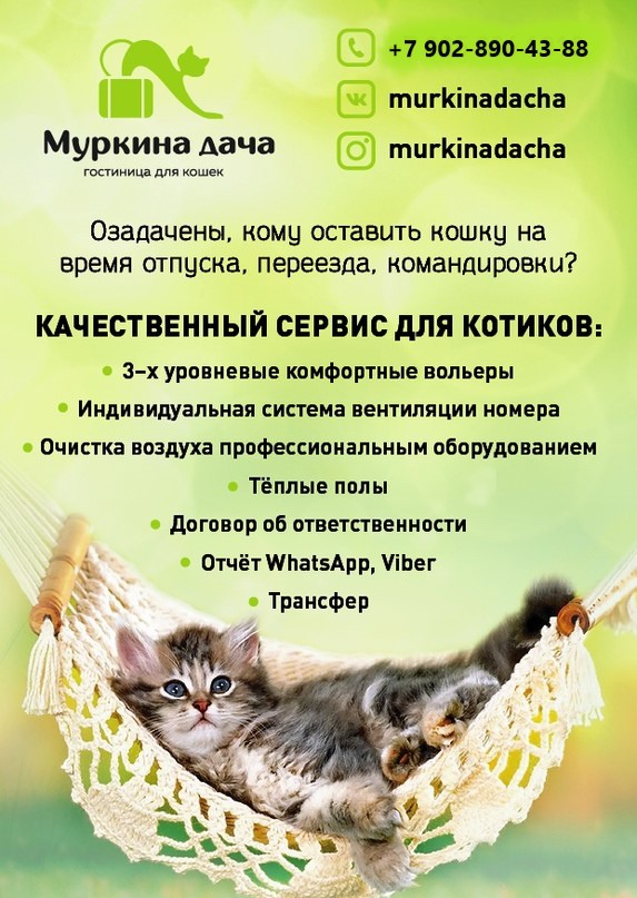 Котенок не забывай меня | 22 кота