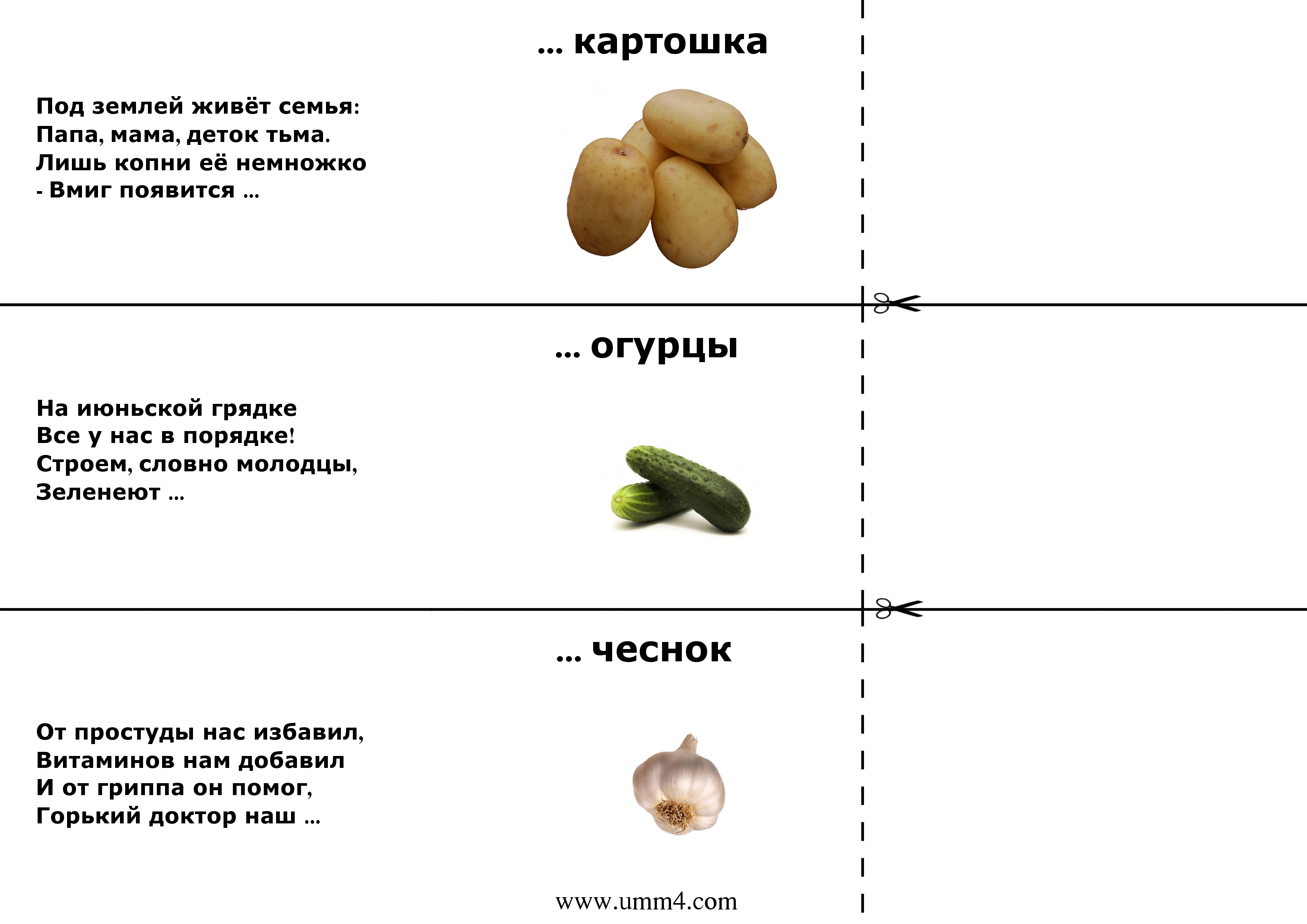Тест на логику и логическое мышление