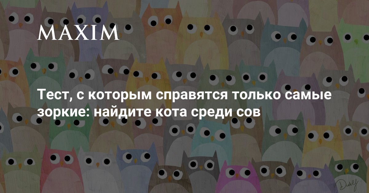 Найти котенка среди сов | 22 кота