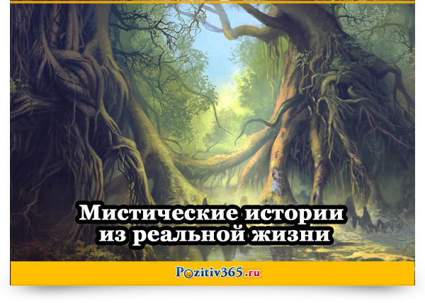Cтрашные истории | истории из жизни реальных людей