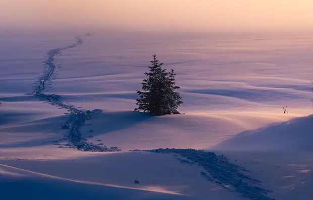 3 подсказки, как красиво сфотографировать снег | sun inside photo&video
