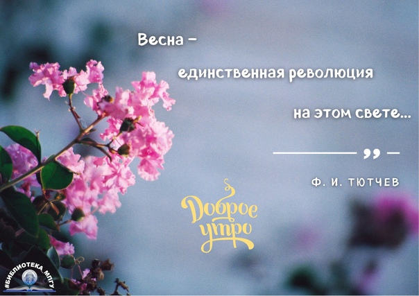 100 лучших цитат из новой главы о новом старте