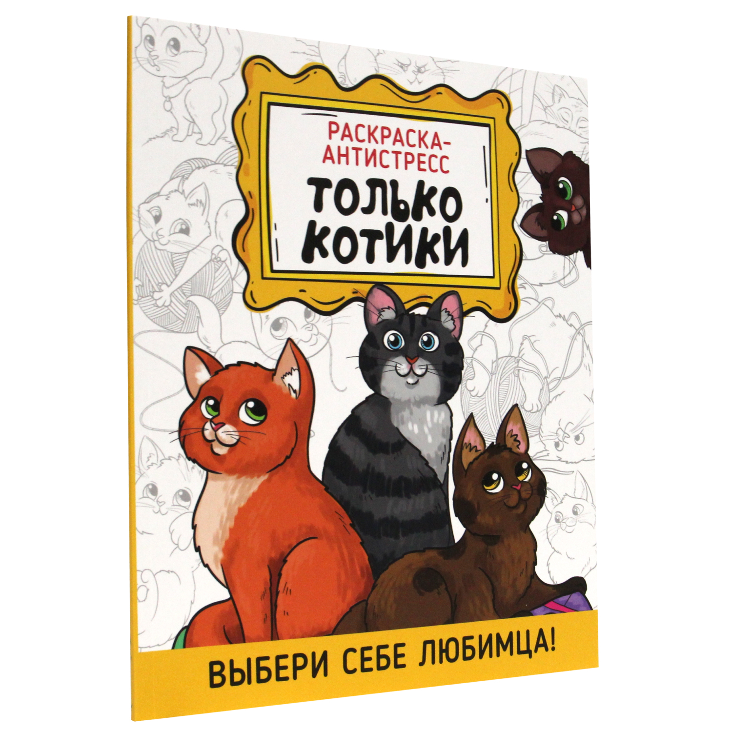 Где в доме любят спать кошки и коты?