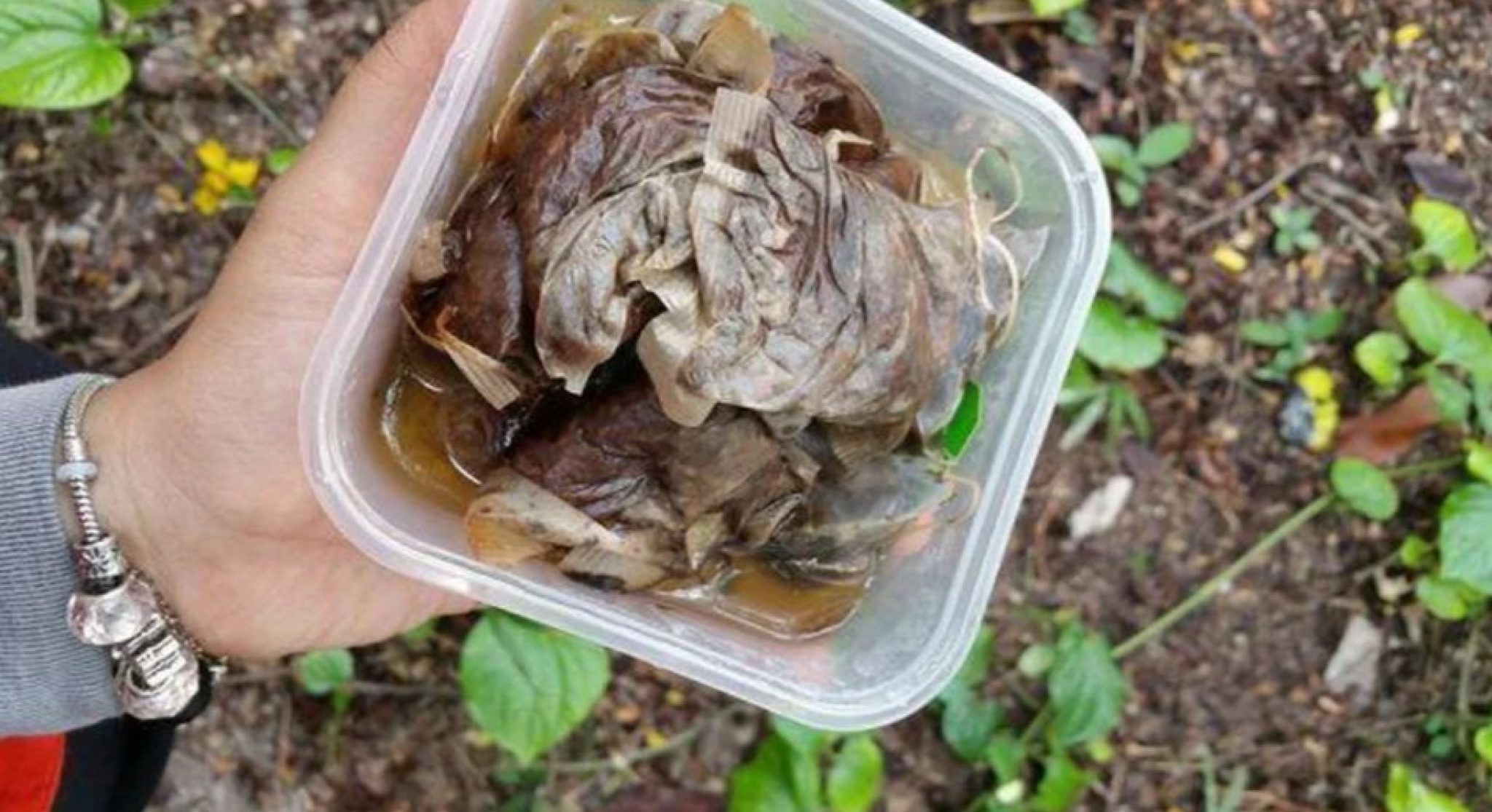 Сезон шашлыков открыт