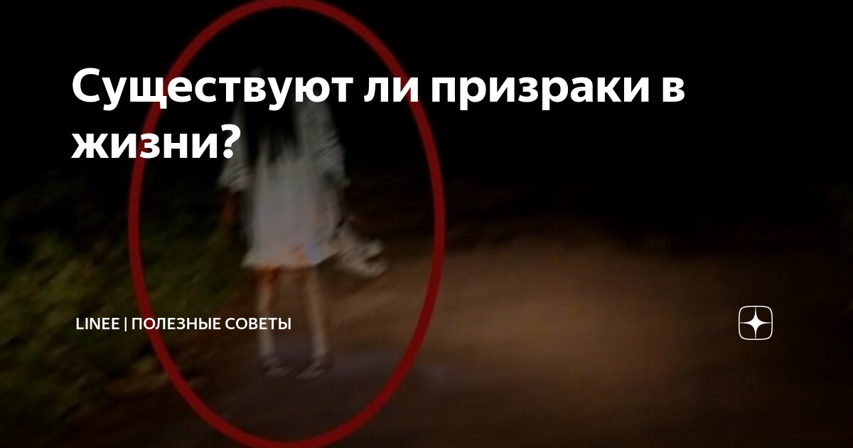 Хотя большинству людей никогда не приходилось сталкиваться ни с чем паранормальным в своей жизни, другим повезло не только увидеть призраков, но и записать их присутствие на