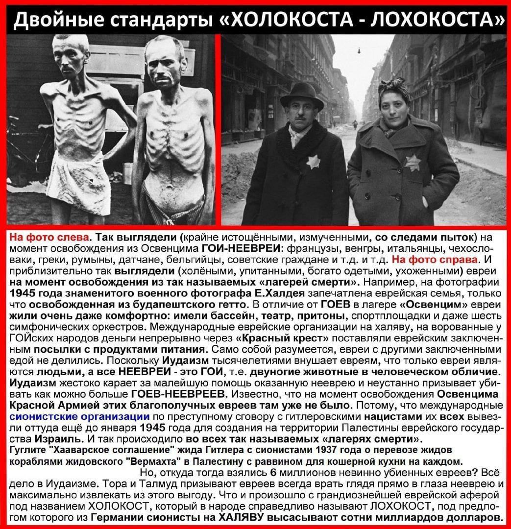 Капитан вилли шульц
