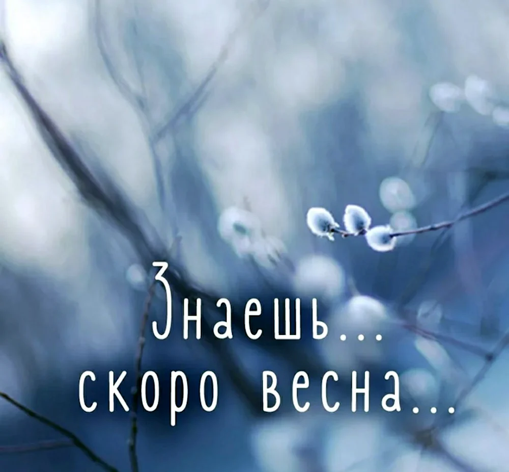 Красивые цитаты про весну: 75 вдохновляющих фраз для создания весеннего настроения - отлично девушка