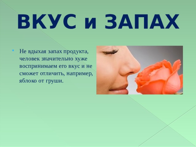 Пошаговое руководство «как подобрать аромат для магазина»