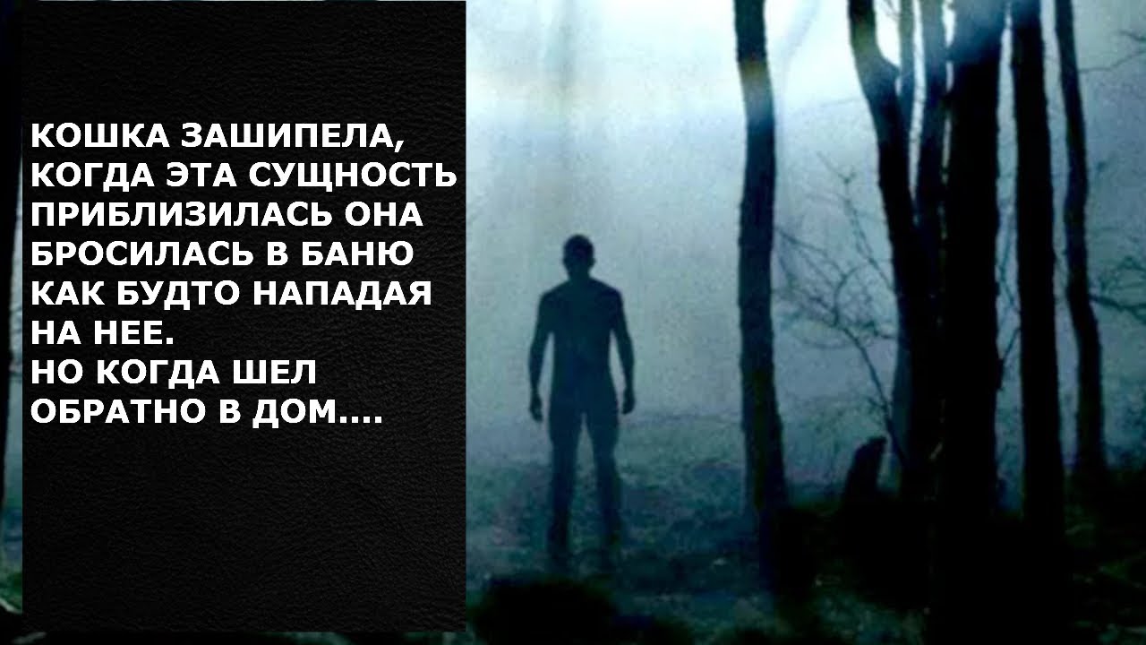 Мистические истории из реальной жизни читать бесплатно