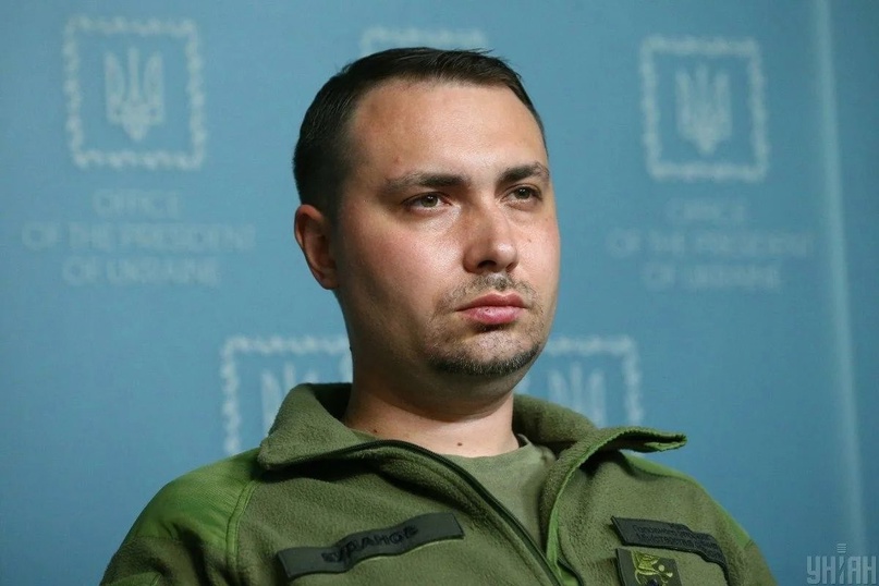 Брэд питт и анджелина джоли поделят винодельню без суда