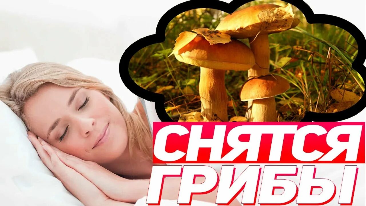К чему снится собирать много грибов
