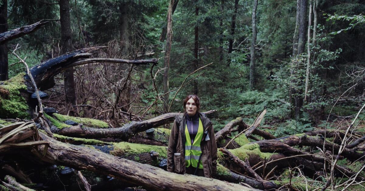 Лучшие скандинавские сериалы смотреть онлайн всегда бесплатно
