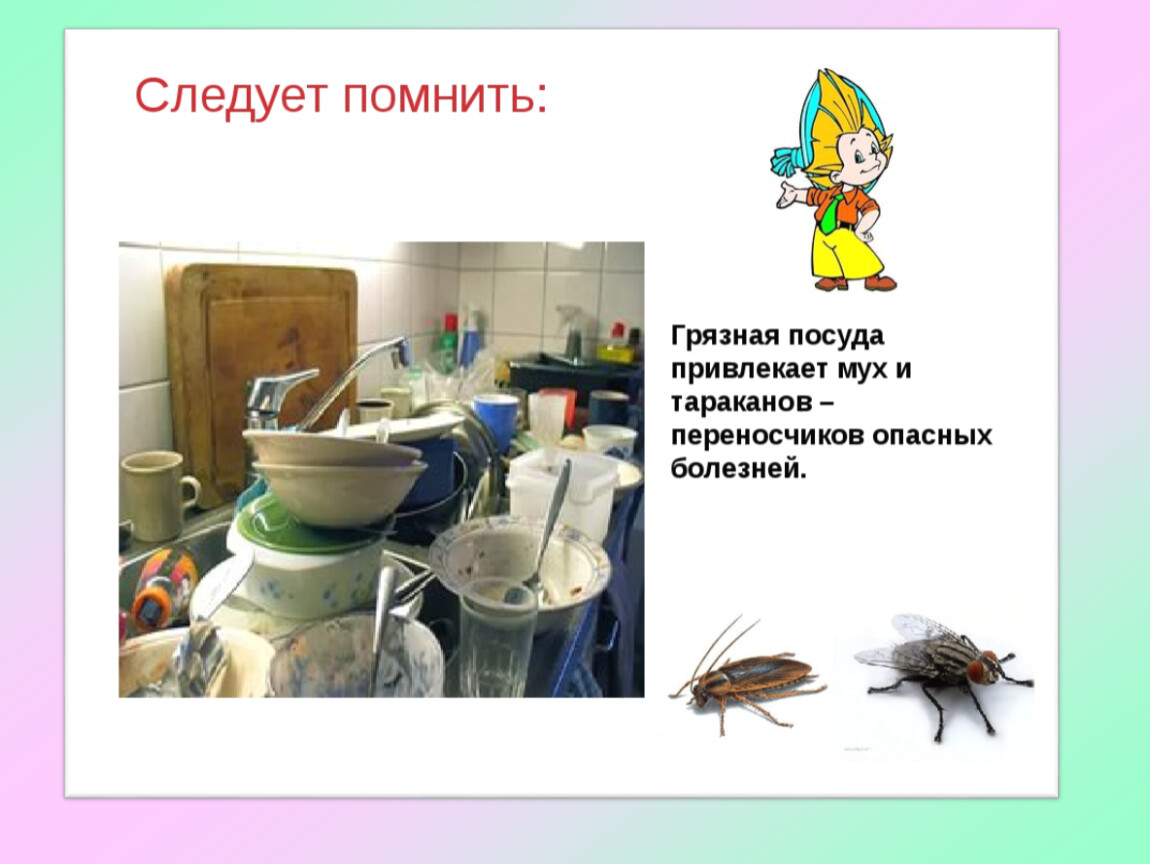 Почему нельзя оставлять грязную посуду на ночь