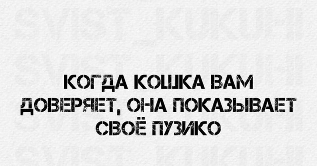 Знают свои имена, запоминают десятки слов и ориентируются на тембр голоса: что известно о возможности кошек воспринимать речь — московские новости