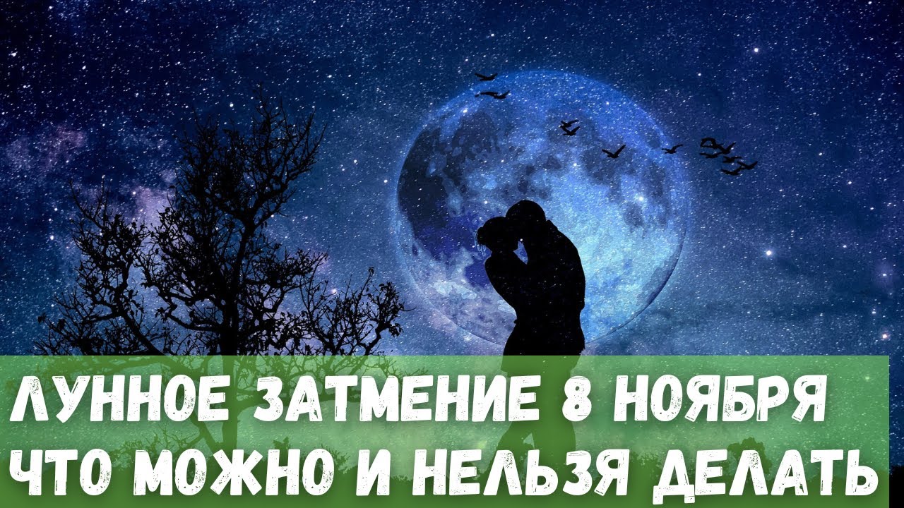 Ноябрь 2023: волевой старт к новым горизонтам