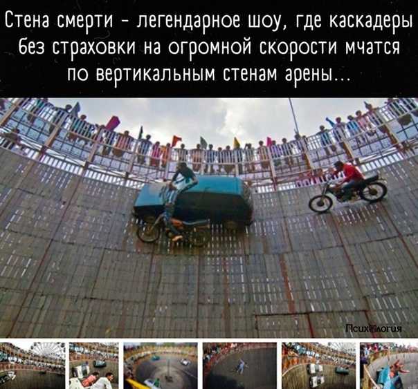 Точка невозврата: почему россиянки не хотят детей - жизнь - info.sibnet.ru