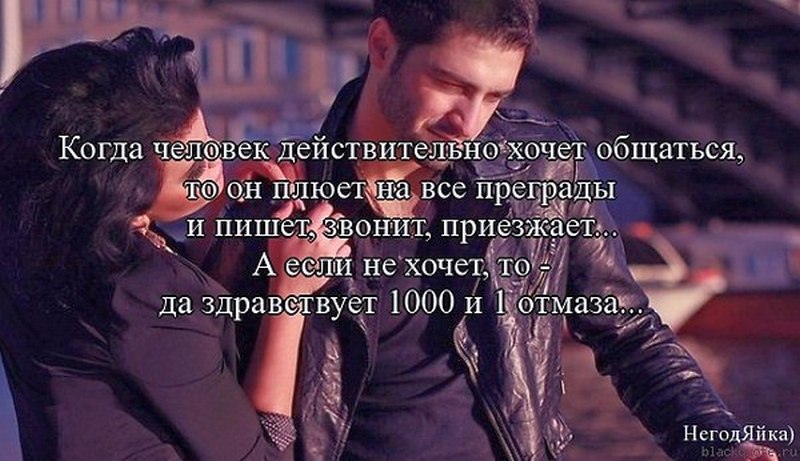 Как разговаривать с кошками и котами: жесты, слова, взаимопонимание между хозяином и питомцем