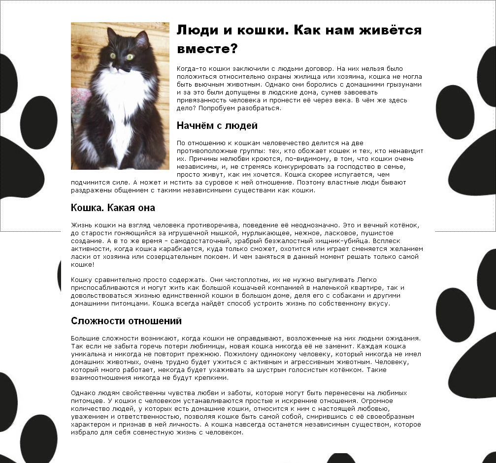 Ревнуют ли кошки? - коточек