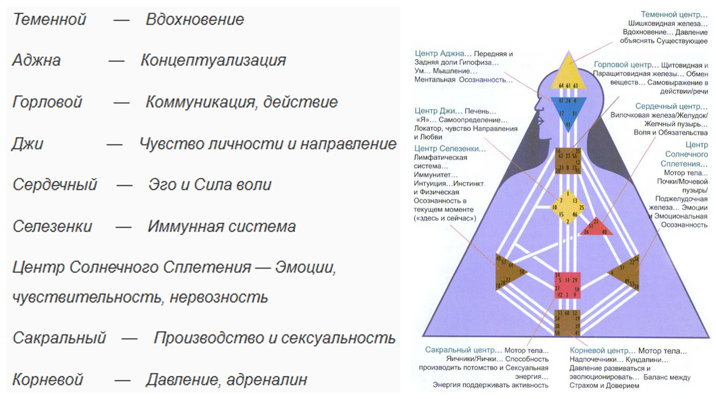 Расчет карты - дизайн человека