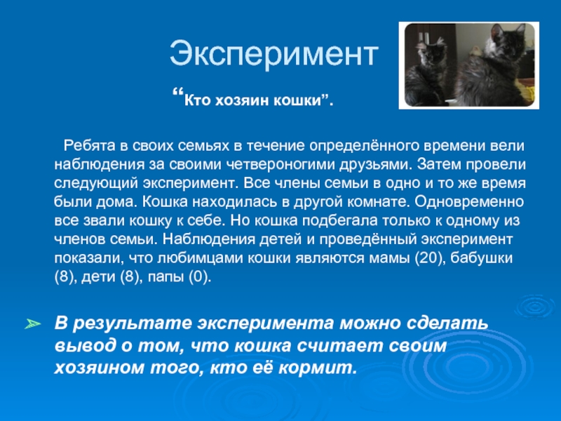 Кого из членов семьи кошка выбирает на роль хозяина