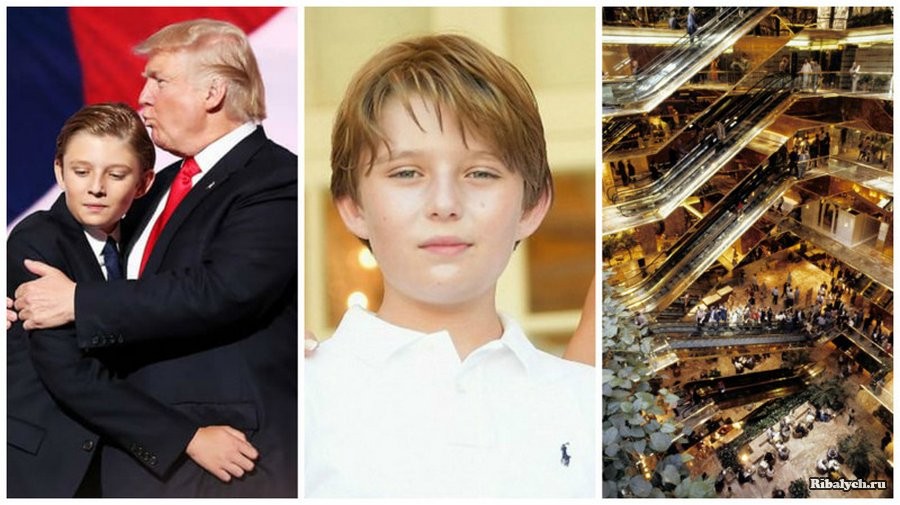 Дональд трамп- биография, личная жизнь, последние новости