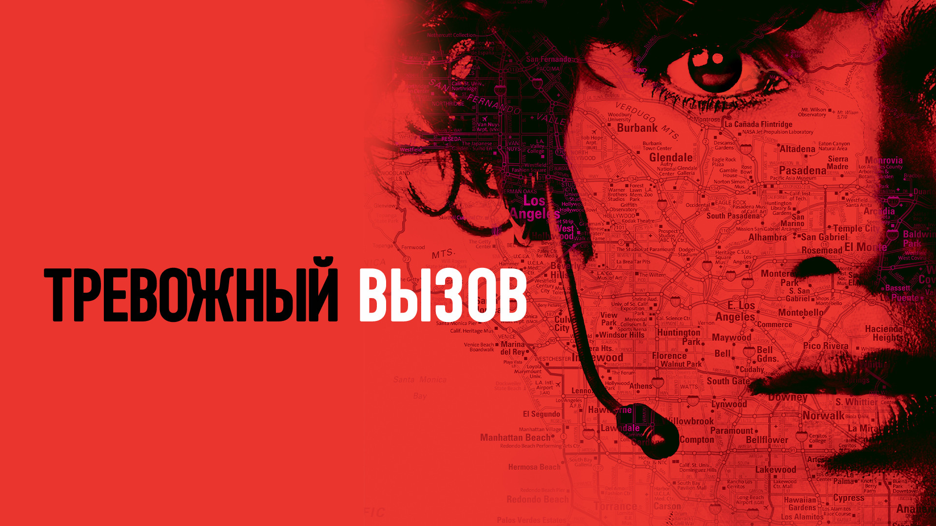 Обезьяна бонобо: особенности вида карликовых шимпанзе