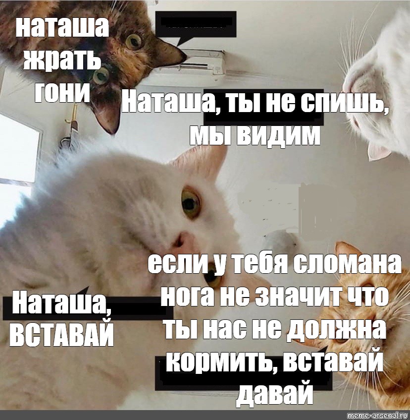 Михаил булгаков «собачье сердце глава 03.» читать - (3. на разрисованных райскими цветам...)
